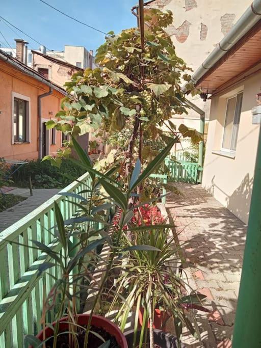 Emese Central Vintage Apartment Târgu-Mureş Exterior foto