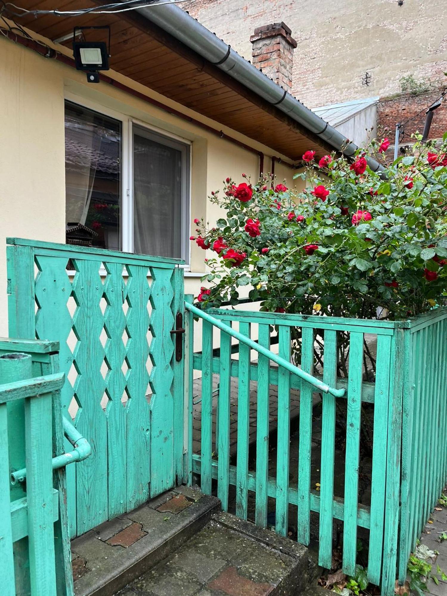Emese Central Vintage Apartment Târgu-Mureş Exterior foto